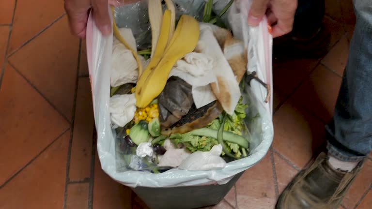 Recycling Services for Junk in Woodbury, MN